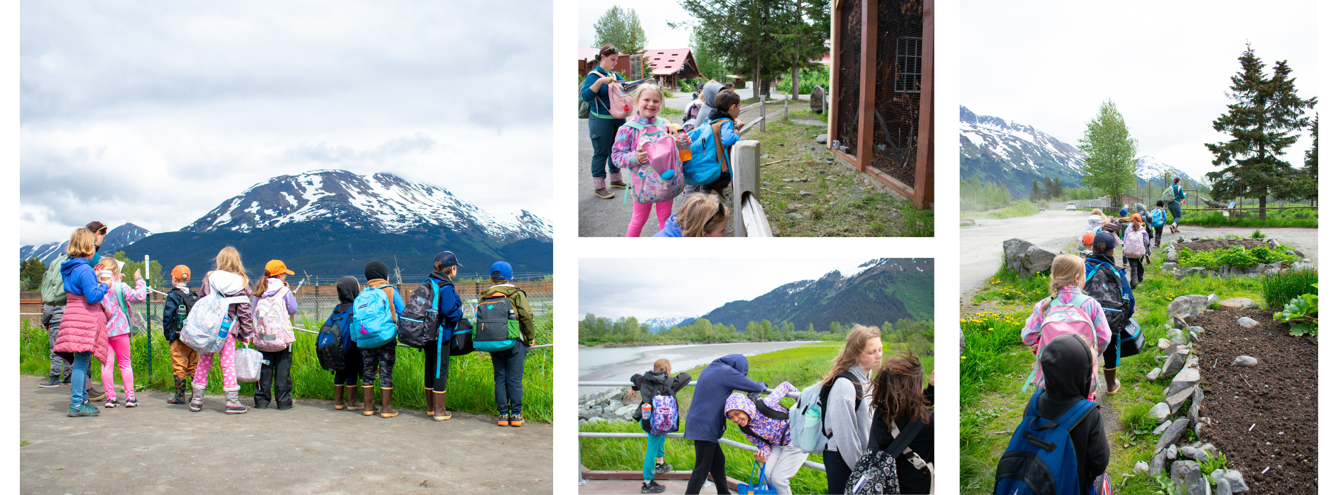 Camp Fire Alaska - Blog Image - Storytelling_ Camp Fireweed youth take a field trip to the Alaska Wildlife Conservation Center